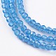 Glass Beads Strands EGLA-E057-02B-09-3