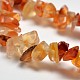 Natural Red Agate Chip Beads Strands G-L269-08-2