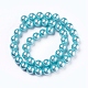 Eco-Friendly Dyed Glass Pearl Round Beads Strands HY-A002-10mm-RB024-2
