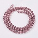 Faceted Glass Beads Strands GLAA-A036-F05-2