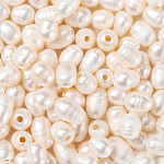 Natur kultivierten Süßwasser Perlen, Oval, Muschelfarbe, 7~10x7~8 mm, Bohrung: 1.8 mm