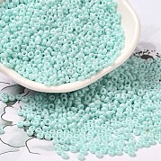 Выпечка краска стеклянные бусины SEED-P006-03A-29