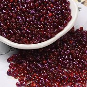Спрей роспись стекла бисер SEED-F005-06A-04
