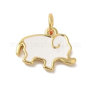 Подвески из латуни с покрытием из эмали KK-L220-024G-01