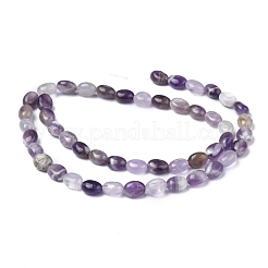 Natürlichen Amethyst Perlen Stränge&nbsp;G-Z006-A16
