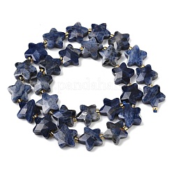 Natur Sodalith Perlen Stränge&nbsp;G-P573-C10-01
