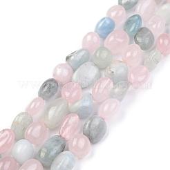 Naturperlen Stränge morganite&nbsp;X-G-O186-B-03