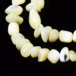 Natürliche Trochidschale / Trochusschalenperlenstränge&nbsp;SSHEL-N034-78-C01