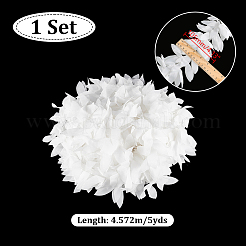 Ruban de dentelle en mousseline de soie polyester de 5 mètre&nbsp;DIY-GA0007-32C