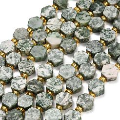 Natürliche grüne Fleck Jaspis Perlen Stränge&nbsp;G-F833-B05-01