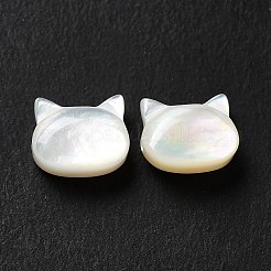 Natürlichen weißen Muschelperlen&nbsp;SHEL-G014-10B-02