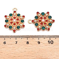 Legierung Schneeflocke Anhänger&nbsp;ENAM-T020-10B-1