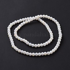 Chapelets de perles en verre opaque de couleur unie&nbsp;GLAA-E036-10E