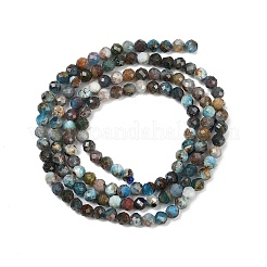 Perline apatite naturale fili&nbsp;LS-G-RM2025-A32-3mm