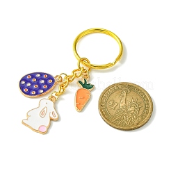 Porte-clés pendentif en alliage d'émail&nbsp;KEYC-JKC00580-04