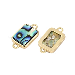 Ciondoli connettore in conchiglia di paua naturale in ottone&nbsp;KK-M299-01B-G