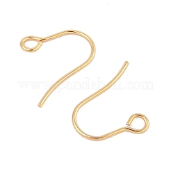 Crochets de boucles d'oreilles en acier inoxydable chirurgical 316&nbsp;LS-STAS-A056-11G-B