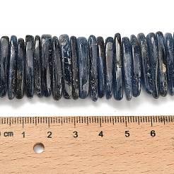 Natürliche kyanite Perlen Stränge&nbsp;G-H335-F01