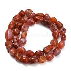Brins de perles d'agate rouge naturelle (teintes et chauffées)&nbsp;G-C287-A01-01