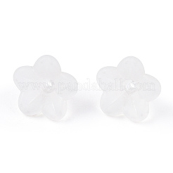 Abalorios de acrílico transparentes&nbsp;PL554-A