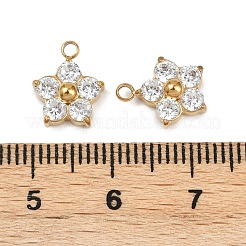 304 Edelstahl Micro Pave Zirkonia Charms&nbsp;STAS-B088-01G-02