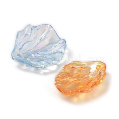 Transparenten Acryl-Anhänger&nbsp;TACR-A004-01