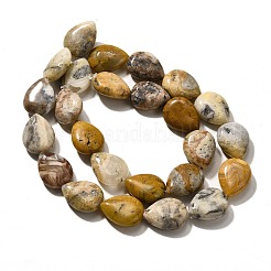 Fili di perline agata pazzesco naturale&nbsp;G-P561-B11-01