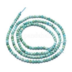 Chapelets de perles en turquoise de HuBei naturelle&nbsp;G-G792-38