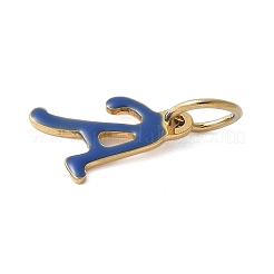 Dijes de esmalte de acero inoxidable 304&nbsp;STAS-G353-01G-A