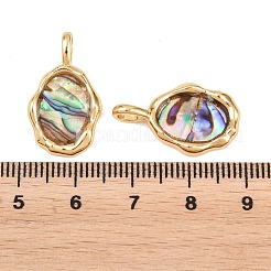 Unregelmäßige Anhänger aus Messing mit natürlicher Paua-Muschel&nbsp;KK-I453-01G-02
