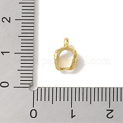 Pinces à glace en acier inoxydable 304&nbsp;LS-STAS-Z058-01G-02