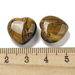 Perle di ferro tigre naturale&nbsp;G-P531-A25-01