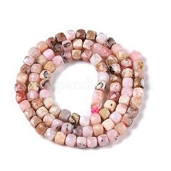 Natürliche rosa Opalkorne Stränge&nbsp;G-N342-133