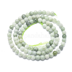 Natürliche myanmarische Jade / burmesische Jade-Perlenstränge&nbsp;G-D0001-08-4mm