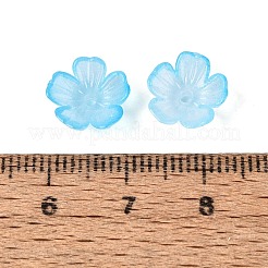 Capuchons de perles en plastique transparent&nbsp;KY-Q005-02A-04