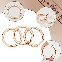 3 anneau de porte à ressort en alliage&nbsp;FIND-BBC0002-23KCG-03