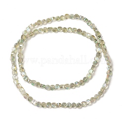 Placcare trasparente perle di vetro fili&nbsp;EGLA-L044-A-FR03