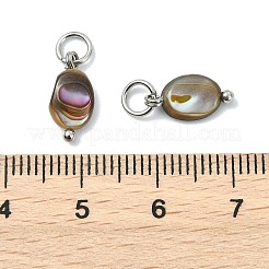 Paua naturale pendenti shell&nbsp;PALLOY-JF05290-02