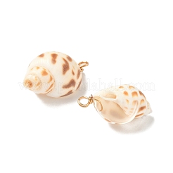 Natürliche Spirale Shell Anhänger&nbsp;PALLOY-JF02949