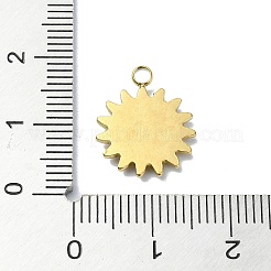 Pendentifs en acier inoxydable 304 avec placage ionique (IP)&nbsp;STAS-B058-17G-07