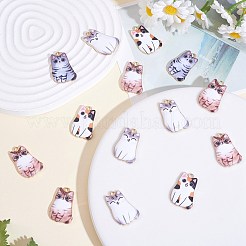 30pcs 5 pendentifs en alliage de couleurs&nbsp;ENAM-SZ0003-32