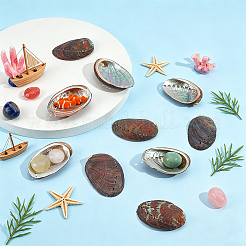 Dekorationen aus natürlichen Paua-Muscheln&nbsp;DJEW-WH0042-148A