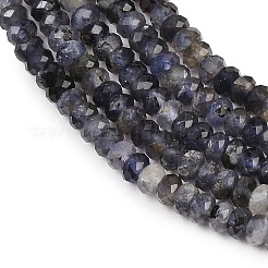 Naturperlen Stränge iolite&nbsp;G-P612-A02-01