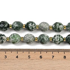 Natürliche grüne Fleck Jaspis Perlen Stränge&nbsp;G-N342-149I-19