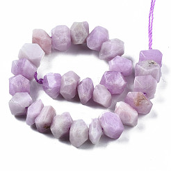 Naturperlen Stränge kunzite&nbsp;X-G-S376-008