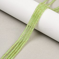 Natürlichen Peridot Perlen Stränge&nbsp;G-K399-A01-01