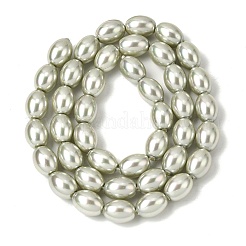 Perles de perles de coquille galvanoplastie&nbsp;BSHE-B008-07A
