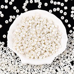 Perlmuttglas-Saatperlen-Perlen mit Backfarbe&nbsp;SEED-T008-03A
