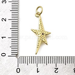 Pendentifs avec zircon cubiques à micro-pavés en laiton&nbsp;KK-Z093-19G