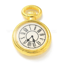 Pendentifs d'émail en alliage&nbsp;FIND-G020-A01-G